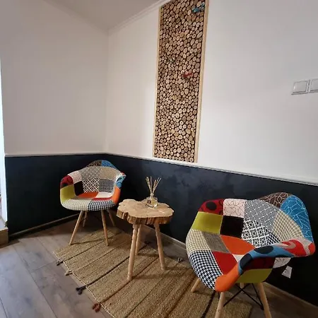 New Iorga4 Oldcity Selfcheckin * Timişoara