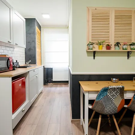 Apartmán New Iorga4 Oldcity Selfcheckin Temešvár