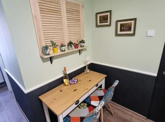 New Iorga4 Oldcity Selfcheckin * טימישוארה