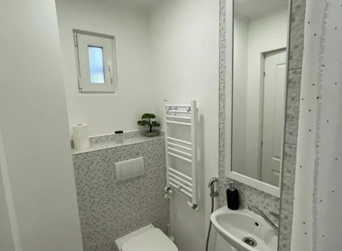 New Iorga4 Oldcity Selfcheckin Apartmán Temešvár