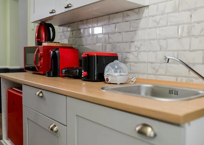 New Iorga4 Oldcity Selfcheckin Temešvár