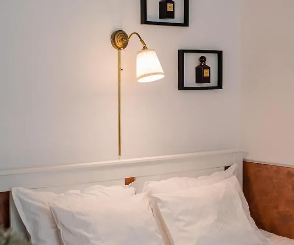 New Iorga4 Oldcity Selfcheckin Temešvár