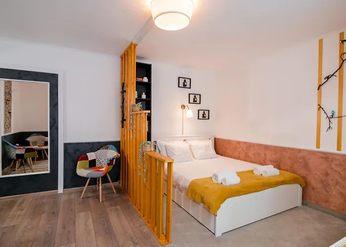 New Iorga4 Oldcity Selfcheckin Temešvár